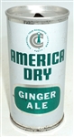  American Dry Ginger Ale Pull Tab